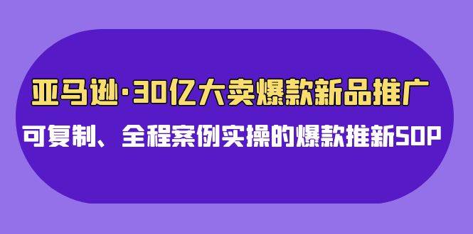 亚马逊30亿·大卖爆款新品推广，可复制、全程案例实操的爆款推新SOP-