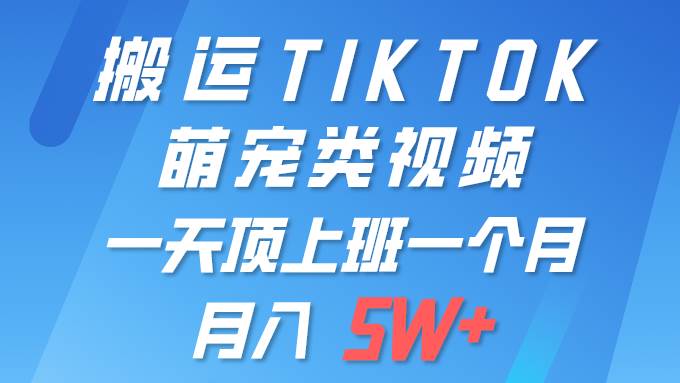 一键搬运TIKTOK萌宠类视频 一部手机即可操作 所有平台均可发布 轻松月入5W+-