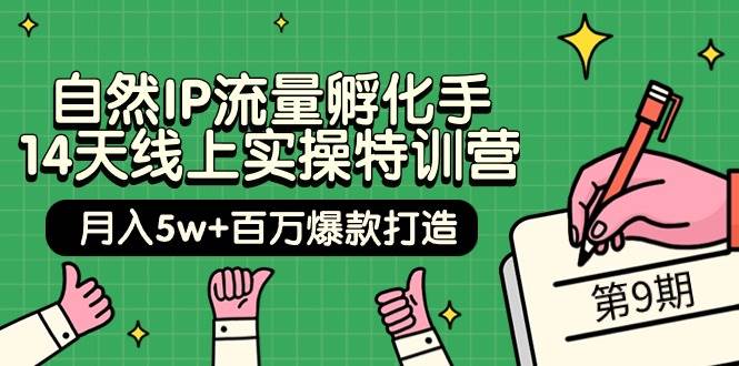 自然IP流量孵化手 14天线上实操特训营【第9期】月入5w+百万爆款打造 (74节)-