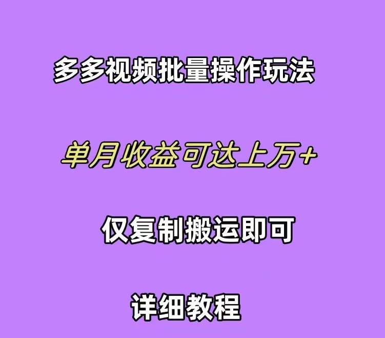 拼多多视频带货快速过爆款选品教程 每天轻轻松松赚取三位数佣金 小白必…-