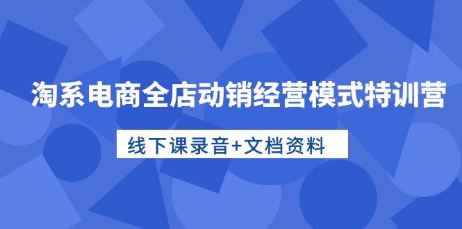 淘系电商全店动销经营模式特训营，线下课录音+文档资料-