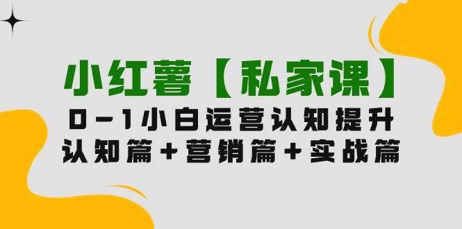 小红薯【私家课】0-1玩赚小红书内容营销，认知篇+营销篇+实战篇（11节课）-