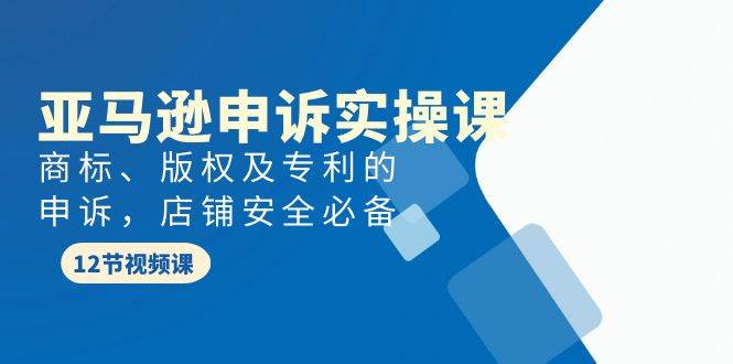 亚马逊-申诉实战课，商标、版权及专利的申诉，店铺安全必备-