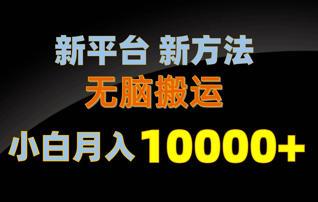 新平台新方法，无脑搬运，月赚10000+，小白轻松上手不动脑-