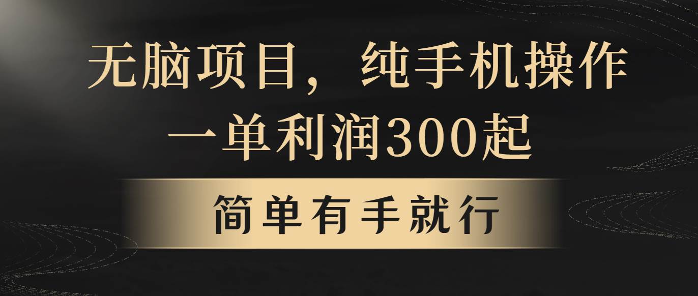 无脑项目，一单几百块，轻松月入5w+，看完就能直接操作-