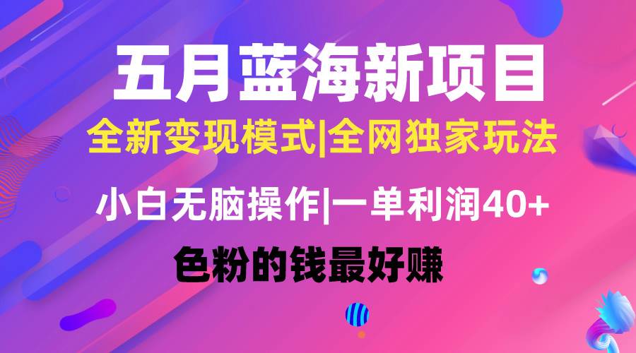 五月蓝海项目全新玩法，小白无脑操作，一天几分钟，矩阵操作，月入4万+-