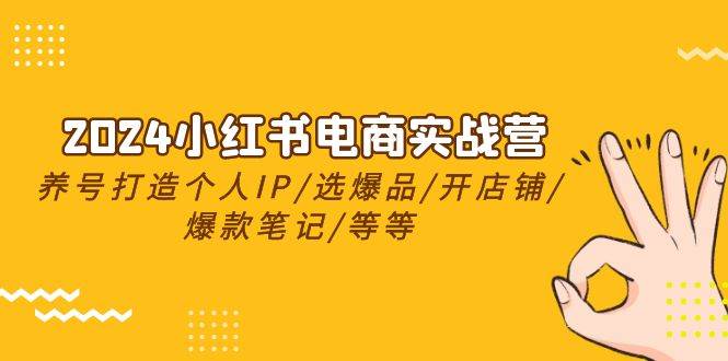 2024小红书电商实战营，养号打造IP/选爆品/开店铺/爆款笔记/等等（24节）-