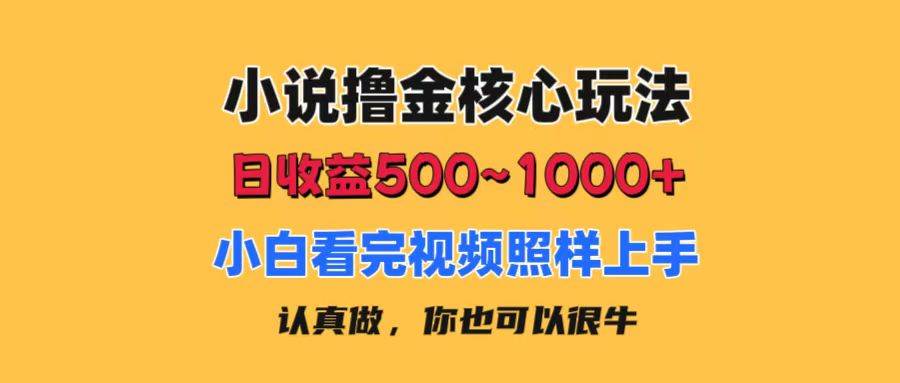 小说撸金核心玩法，日收益500-1000+，小白看完照样上手，0成本有手就行-