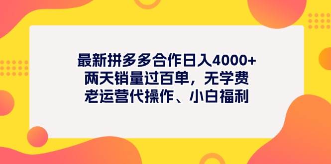 最新拼多多项目日入4000+两天销量过百单，无学费、老运营代操作、小白福利-