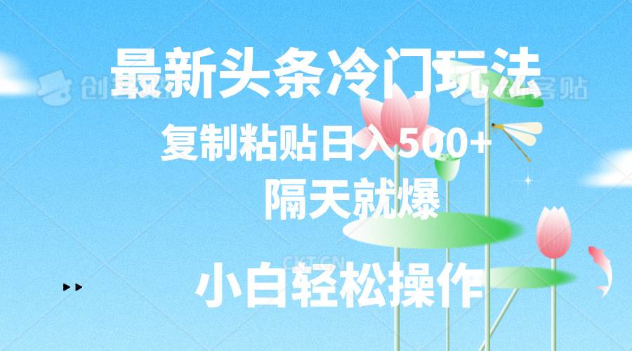 最新头条冷门玩法，隔天就爆，复制粘贴日入500+-