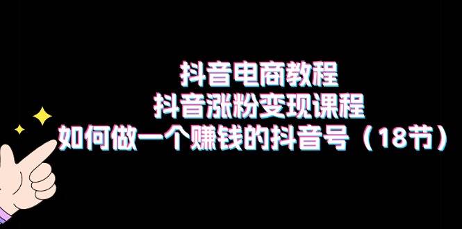 抖音电商教程：抖音涨粉变现课程：如何做一个赚钱的抖音号（18节）-